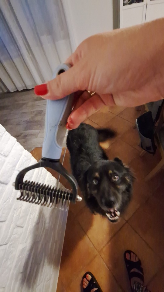 Obrazek #1 z Weronika