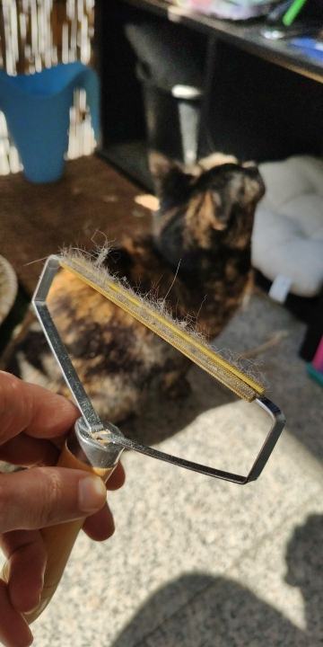 Obrazek #1 z Marzena