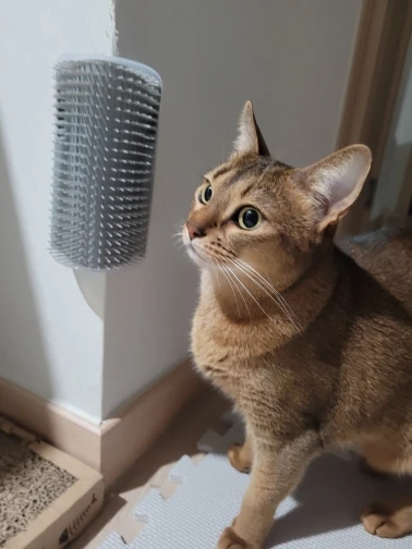 Obrazek #1 z Małgorzata