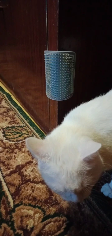 Obrazek #1 z Klaudia