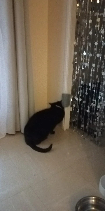 Obrazek #1 z Mateusz