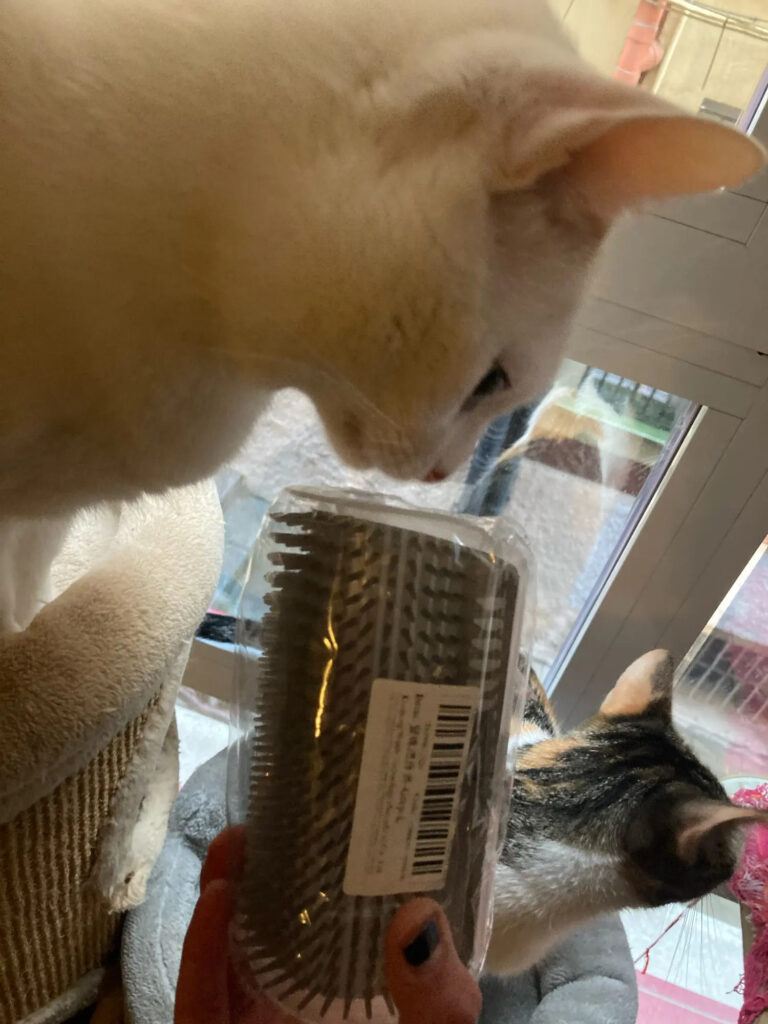 Obrazek #1 z Krzysztof