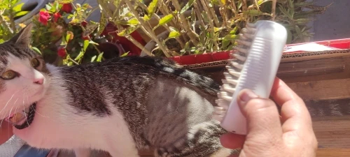 Obrazek #1 z Justyna