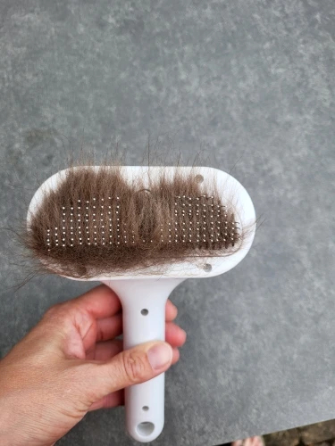 Obrazek #1 z Marianna